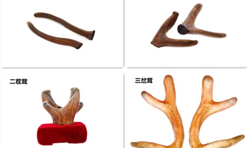长牙晚上会突然大哭吗-长牙期间会不睡觉吗网 - 为你提供长牙一般会闹腾几天、长牙晚上会突然大哭吗